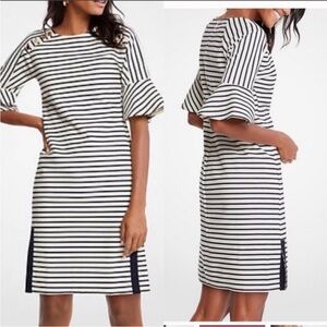 Ann Taylor Fluted Sleeve Striped Dress